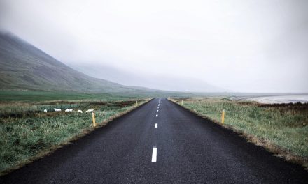 Program Pengembangan Pariwisata Berbasis Komunitas Lokal