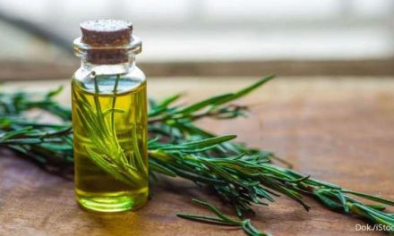 Rosemary Oil Bisa Mengurangi Ketombe