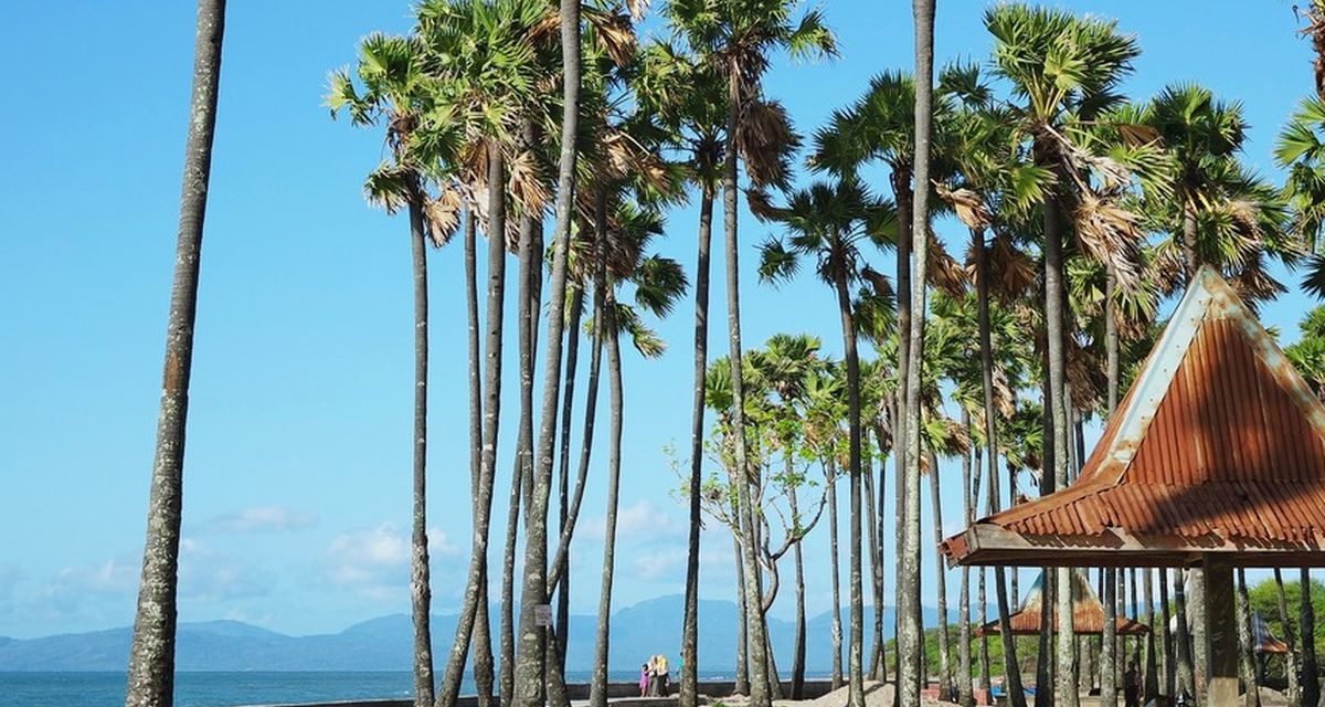 Pantai Lasiana Salah Satu Destinasi Wisata Ikonik Di Kupang