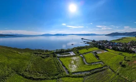 Danau Towuti, Danau Alami Terluas Kedua Di Indonesia