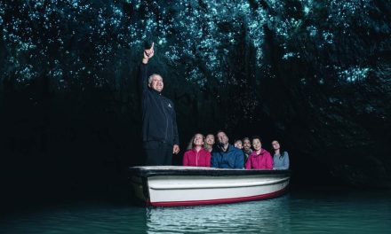 Ribuan Cacing Bercahaya Di Glowworm Caves New Zealand