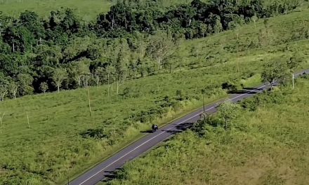 Savana Pira Di Maluku Yang Jarang Diekspos