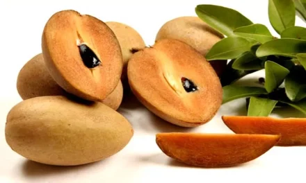 Makan Sawo, Kulit Glowing Alami & Pencernaan Lancar