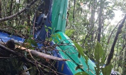 Duka Dari Langit: Helikopter Jatuh, Di Hutan Mandin Damar