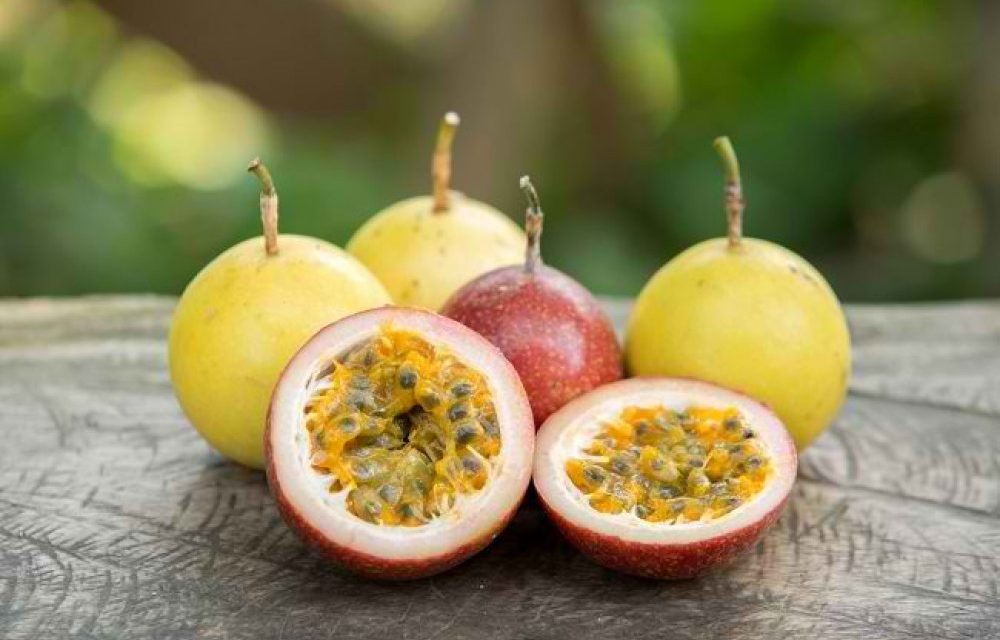 Buah Markisa: Si Kecil Kaya Nutrisi Menyegarkan & Menyehatkan