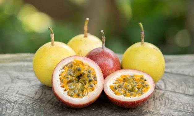 Buah Markisa: Si Kecil Kaya Nutrisi Menyegarkan & Menyehatkan