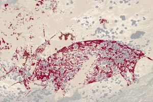 Lukisan Gua Tertua Dunia Di Sulawesi Berusia 51.200 Tahun