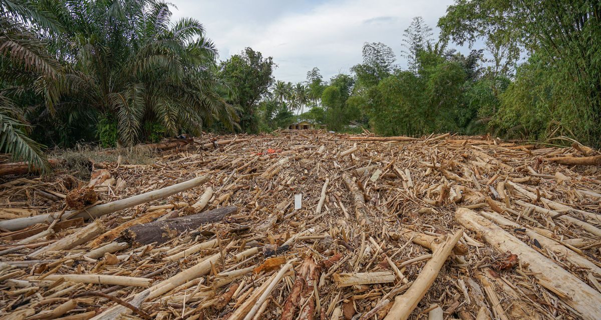 Sungai Tertutup Kayu, Pemukiman Tapteng Terendam Banjir