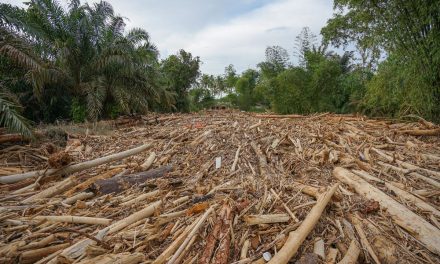 Sungai Tertutup Kayu, Pemukiman Tapteng Terendam Banjir