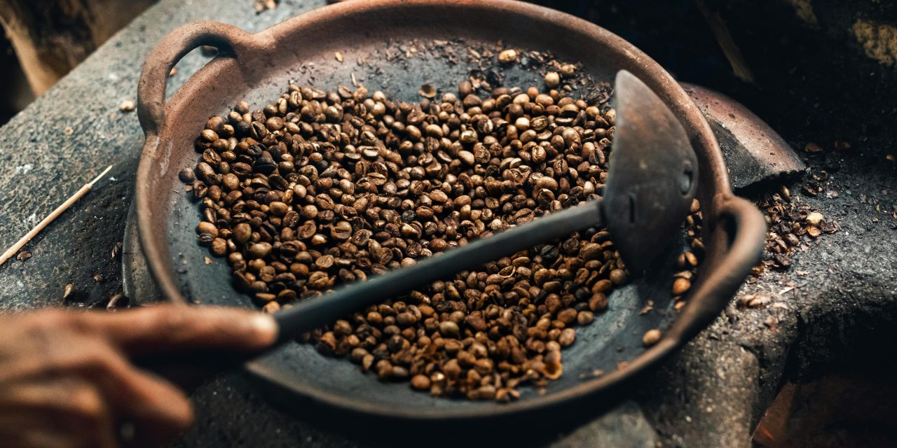 Kopi Luwak: Mahakarya Alam, Tradisi, dan Diplomasi Rasa
