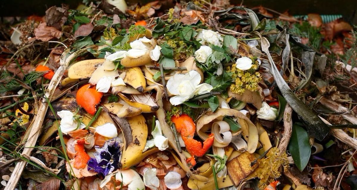 Rahasia Tekan Emisi & Biaya Lewat Pengelolaan Sisa Makanan