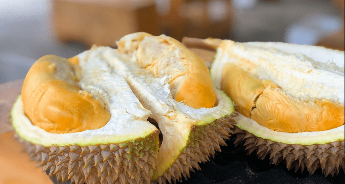 Warga Bogor Merapat! Ada Pasar Durian Murah Di Kebun Raya