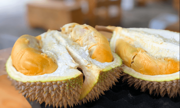 Warga Bogor Merapat! Ada Pasar Durian Murah Di Kebun Raya