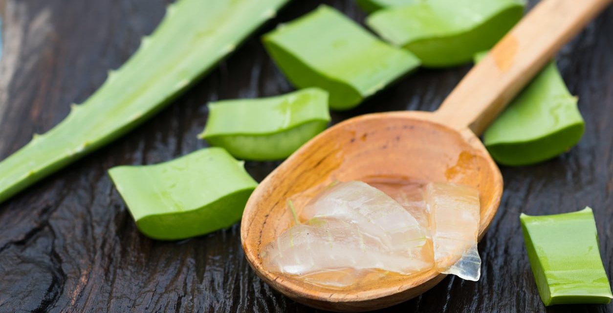 3 Manfaat Unggul Dari Tanaman Lidah Buaya