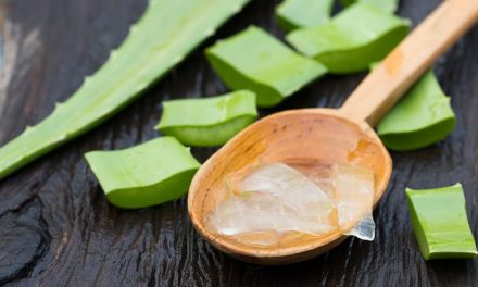 3 Manfaat Unggul Dari Tanaman Lidah Buaya