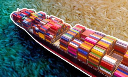 Bukan Sekadar Angka, Ini Juara Impor Dari 30 Negara Raksasa