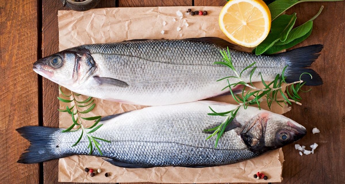 Pilihan Ikan Murah Yang Ternyata Punya Gizi Tinggi Banget