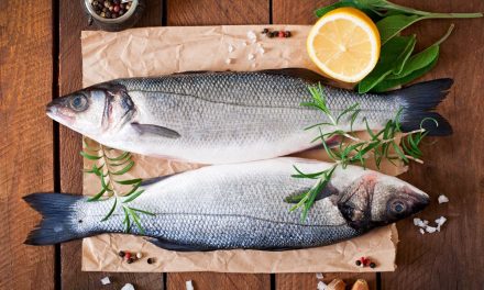 Pilihan Ikan Murah Yang Ternyata Punya Gizi Tinggi Banget