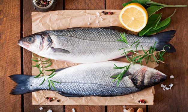 Pilihan Ikan Murah Yang Ternyata Punya Gizi Tinggi Banget