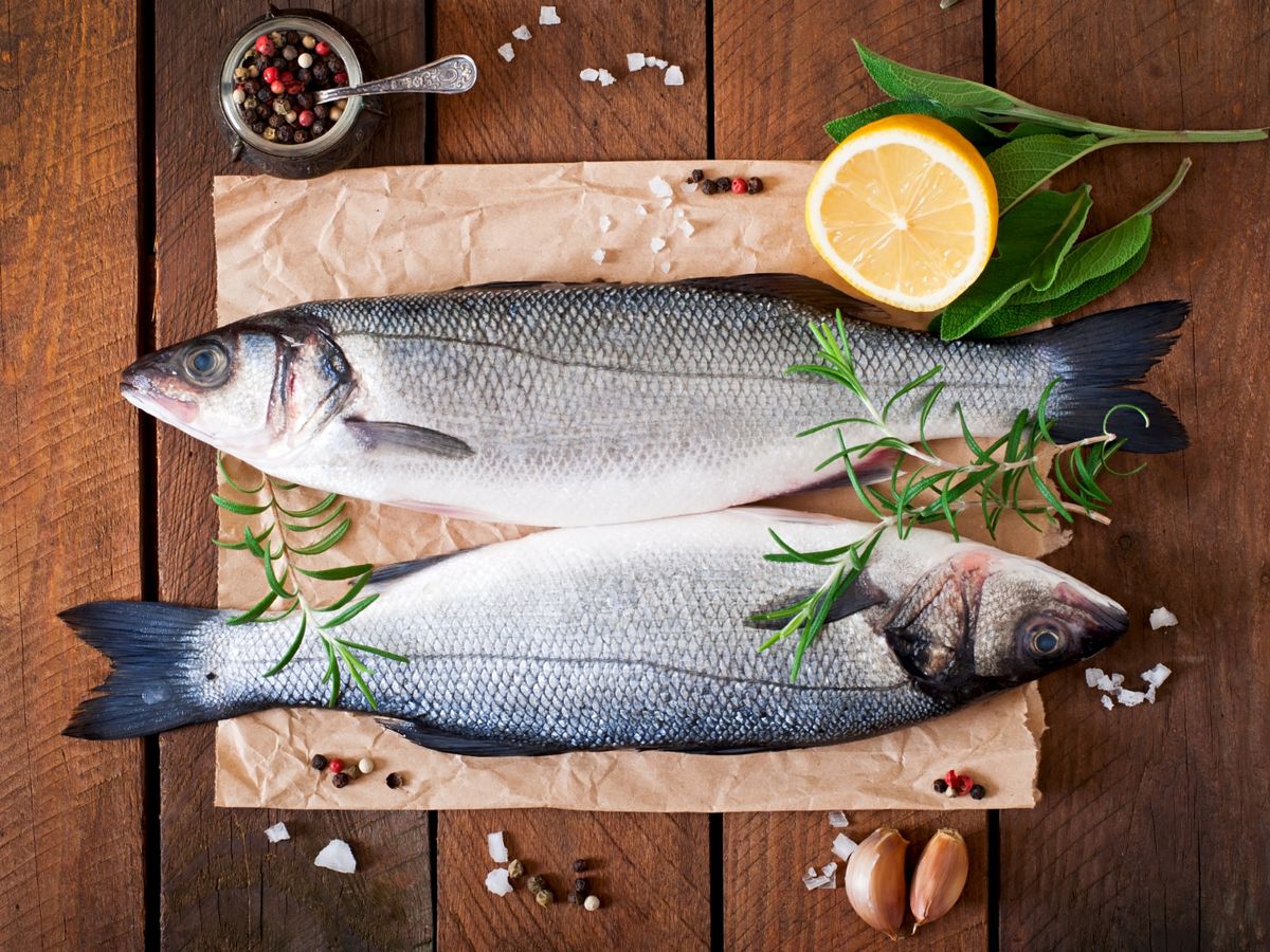 Pilihan Ikan Murah Yang Ternyata Punya Gizi Tinggi Banget