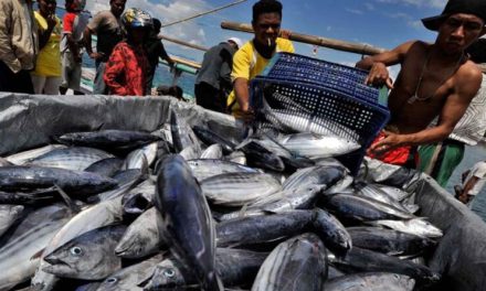 Menilik Peran Aruna Dalam Mendongkrak Perekonomian Nelayan
