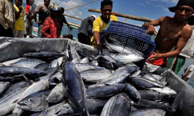 Menilik Peran Aruna Dalam Mendongkrak Perekonomian Nelayan