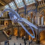 3 Museum Paling Populer Buat Ngetrip Sejarah