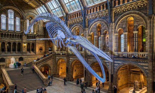 3 Museum Paling Populer Buat Ngetrip Sejarah
