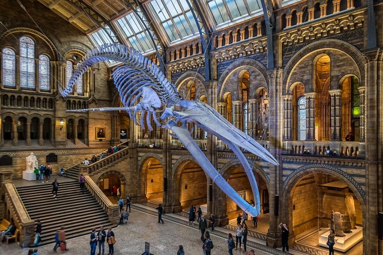 3 Museum Paling Populer Buat Ngetrip Sejarah