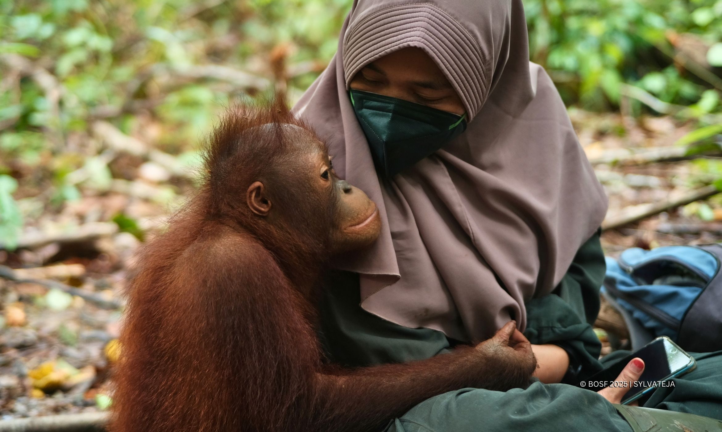 Bukan Cuma Orangutan, 3 Primata Ini Butuh Perlindungan