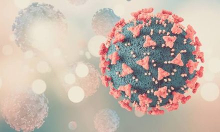 Dokter Ungkap Cara Penularan HPV Selain Seks