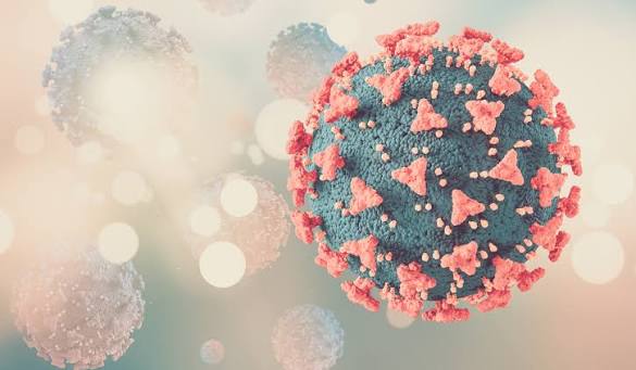Dokter Ungkap Cara Penularan HPV Selain Seks